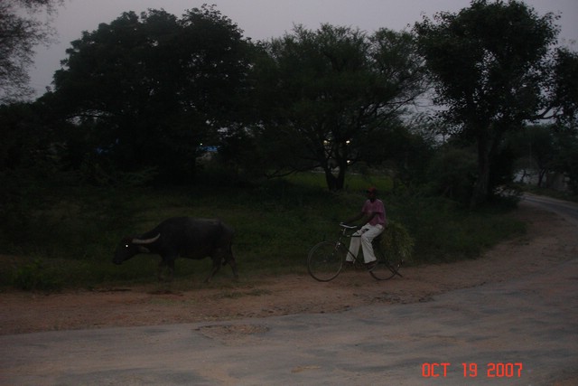 India 10-2007 542.jpg