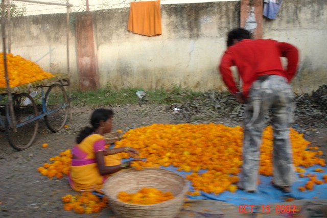 India 10-2007 545.jpg