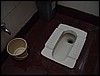 India 10-2007 022.jpg