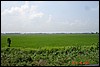 India 10-2007 047.jpg