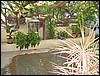 India 10-2007 062.jpg