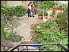 India 10-2007 063.jpg