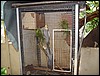 India 10-2007 064.jpg