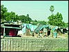 India 10-2007 068.jpg
