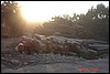 India 10-2007 150.jpg