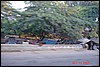 India 10-2007 153.jpg
