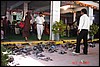 India 10-2007 382.jpg