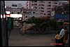 India 10-2007 403.jpg