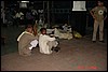 India 10-2007 416.jpg