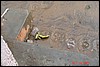 India 10-2007 457.jpg