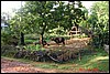 India 10-2007 466.jpg