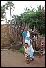 India 10-2007 494.jpg