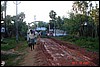 India 10-2007 497.jpg