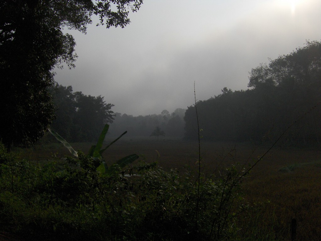HPIM0378.JPG