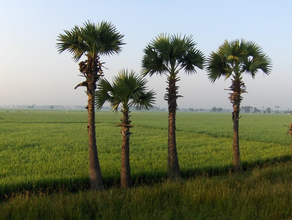 HPIM0398.JPG