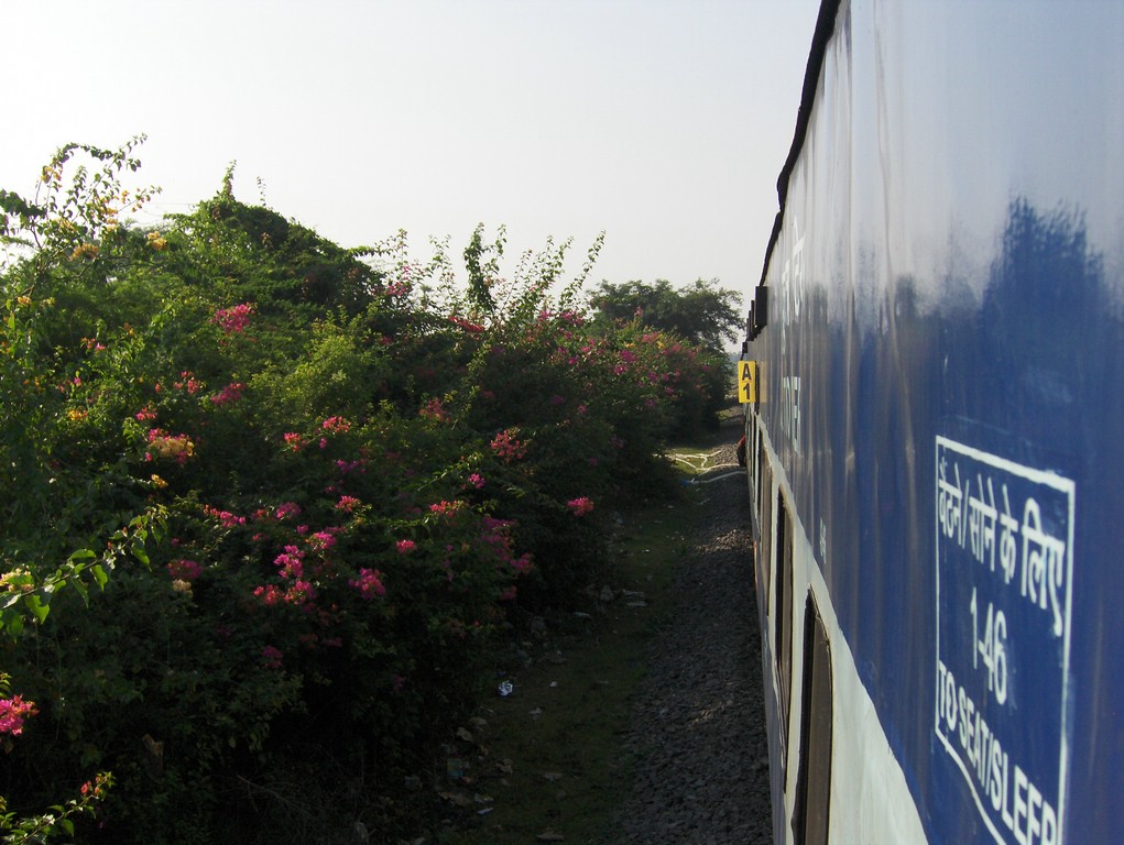HPIM0403.JPG