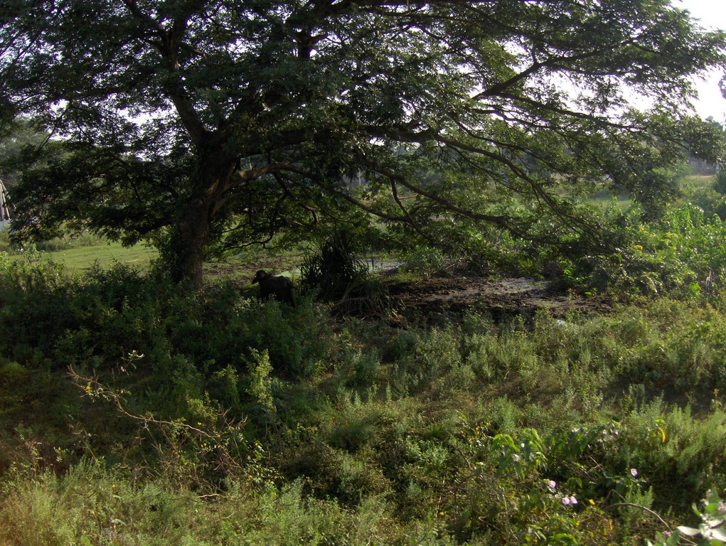 HPIM0405.JPG