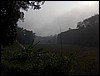 HPIM0378.JPG