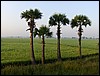 HPIM0398.JPG