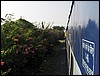 HPIM0403.JPG