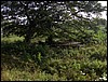 HPIM0405.JPG
