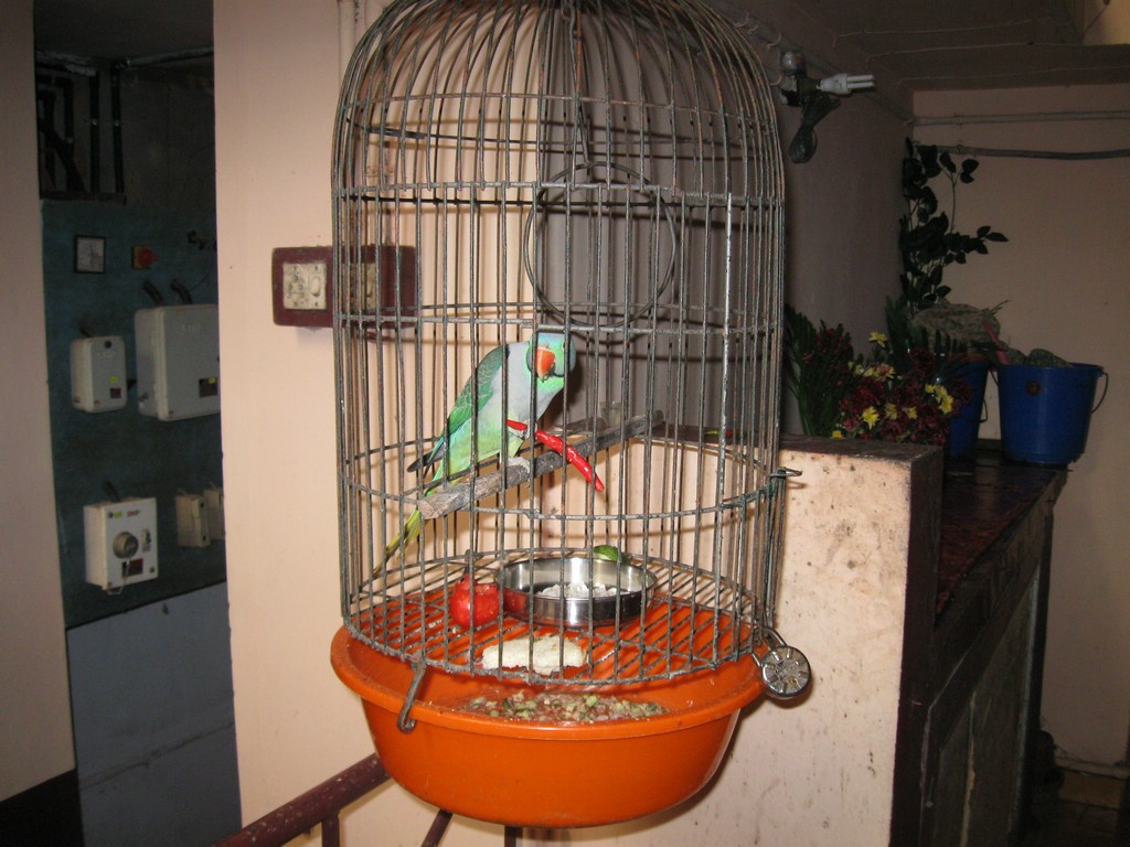 IMG_0656.jpg