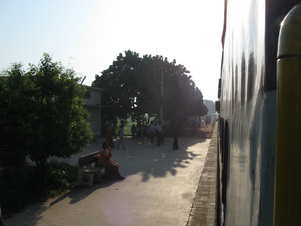 IMG_0815.jpg