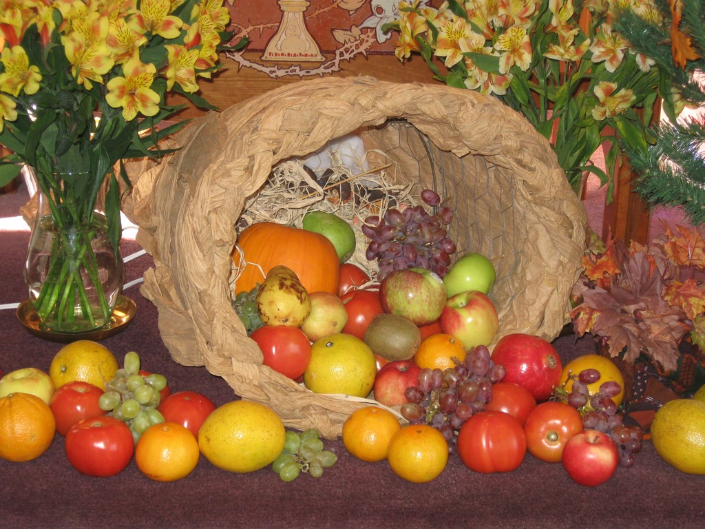 IMG_1071.jpg