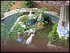 IMG_0654.jpg