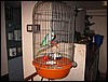 IMG_0656.jpg