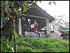 IMG_0657.jpg