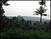 IMG_0661.jpg