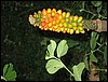 IMG_0664.jpg