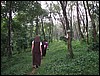 IMG_0665.jpg