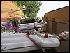 IMG_0690.jpg