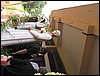 IMG_0691.jpg
