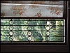 IMG_0716.jpg