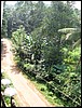 IMG_0719.jpg