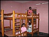 IMG_0774.jpg