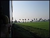 IMG_0809.jpg