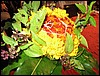 IMG_0825.jpg