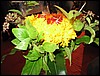 IMG_0826.jpg