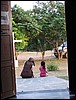 IMG_0842.jpg