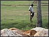 IMG_0913.jpg