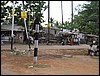 IMG_0917.jpg