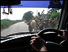 IMG_0945.jpg