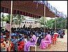 IMG_0979.jpg