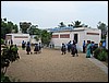 IMG_1004.jpg