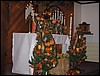 IMG_1065.jpg