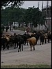 DSC03870.JPG